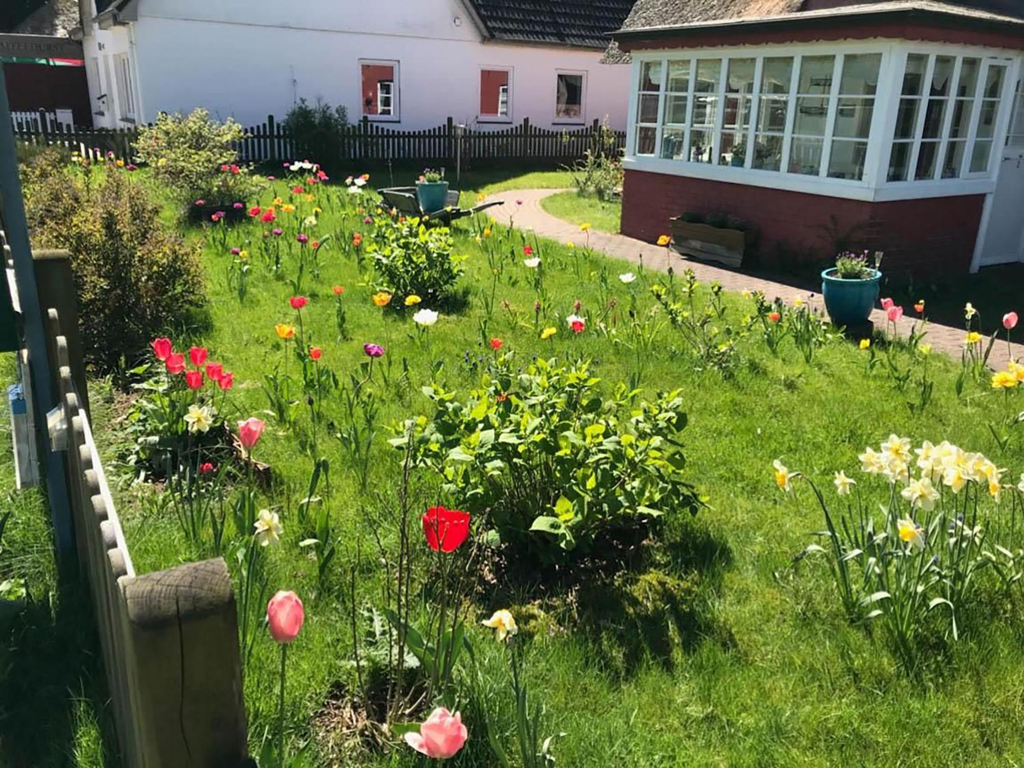 Hüs Sanskiin Ferienwohnung *Brombelbei* Suddorf Exterior foto