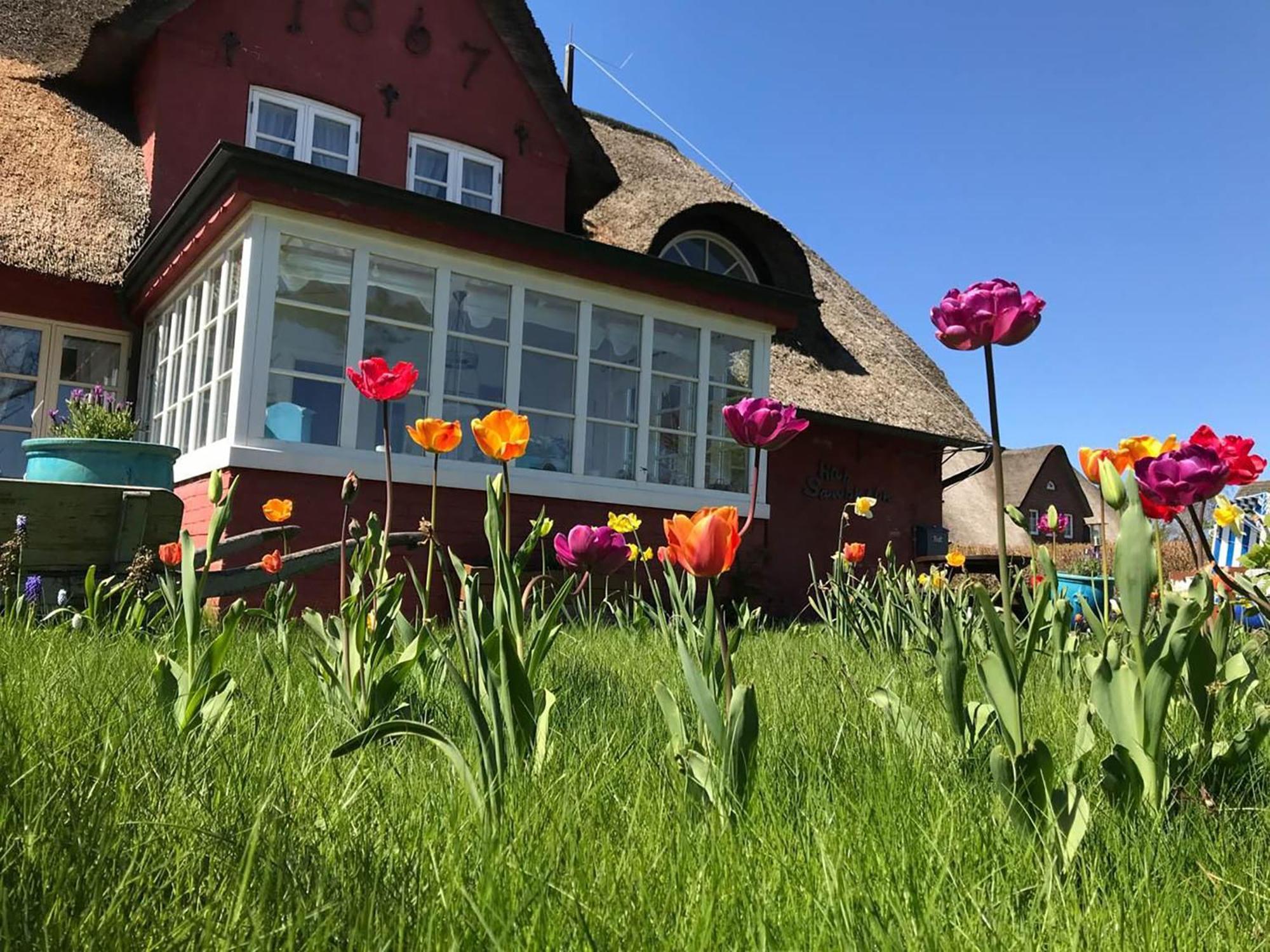 Hüs Sanskiin Ferienwohnung *Brombelbei* Suddorf Exterior foto